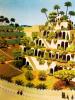 Висячие сады семирамиды - сооружение навуходоносора в вавилоне